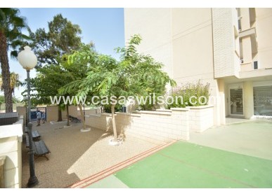 Sale - Apartment - Guardamar del Segura - Costa Blanca