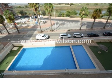 Sale - Apartment - Guardamar del Segura - Costa Blanca