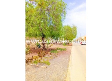 Sale - Appartement - Orihuela Costa - La Florida