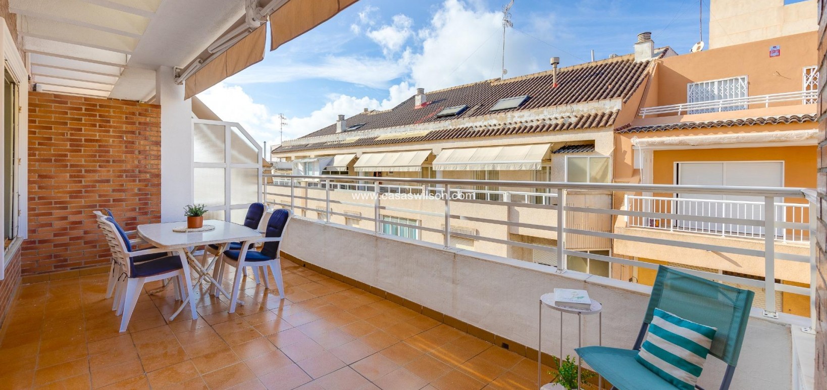 Sale - Appartement - Torrevieja - Paseo maritimo