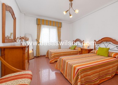 Sale - Appartement - Torrevieja - Paseo maritimo