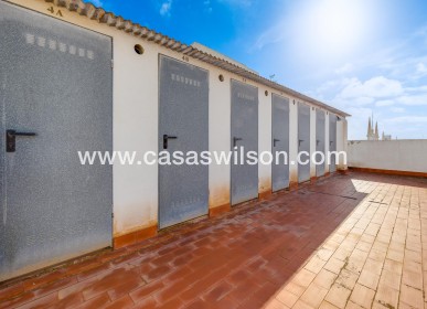 Sale - Appartement - Torrevieja - Paseo maritimo