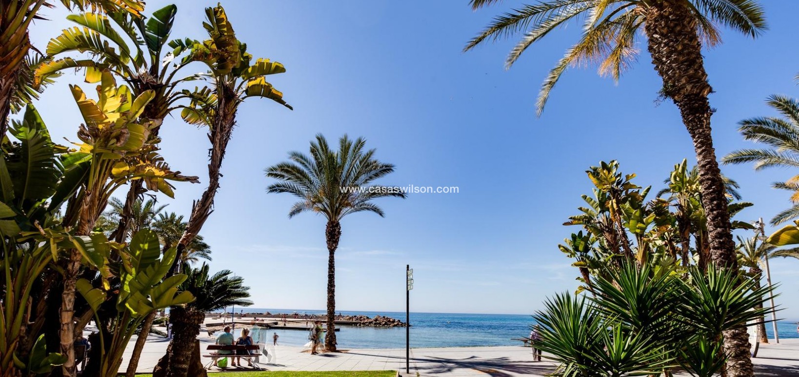 Sale - Appartement - Torrevieja - Paseo maritimo