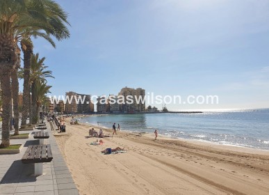 Sale - Apartment - Torrevieja - Estacion De Autobuses