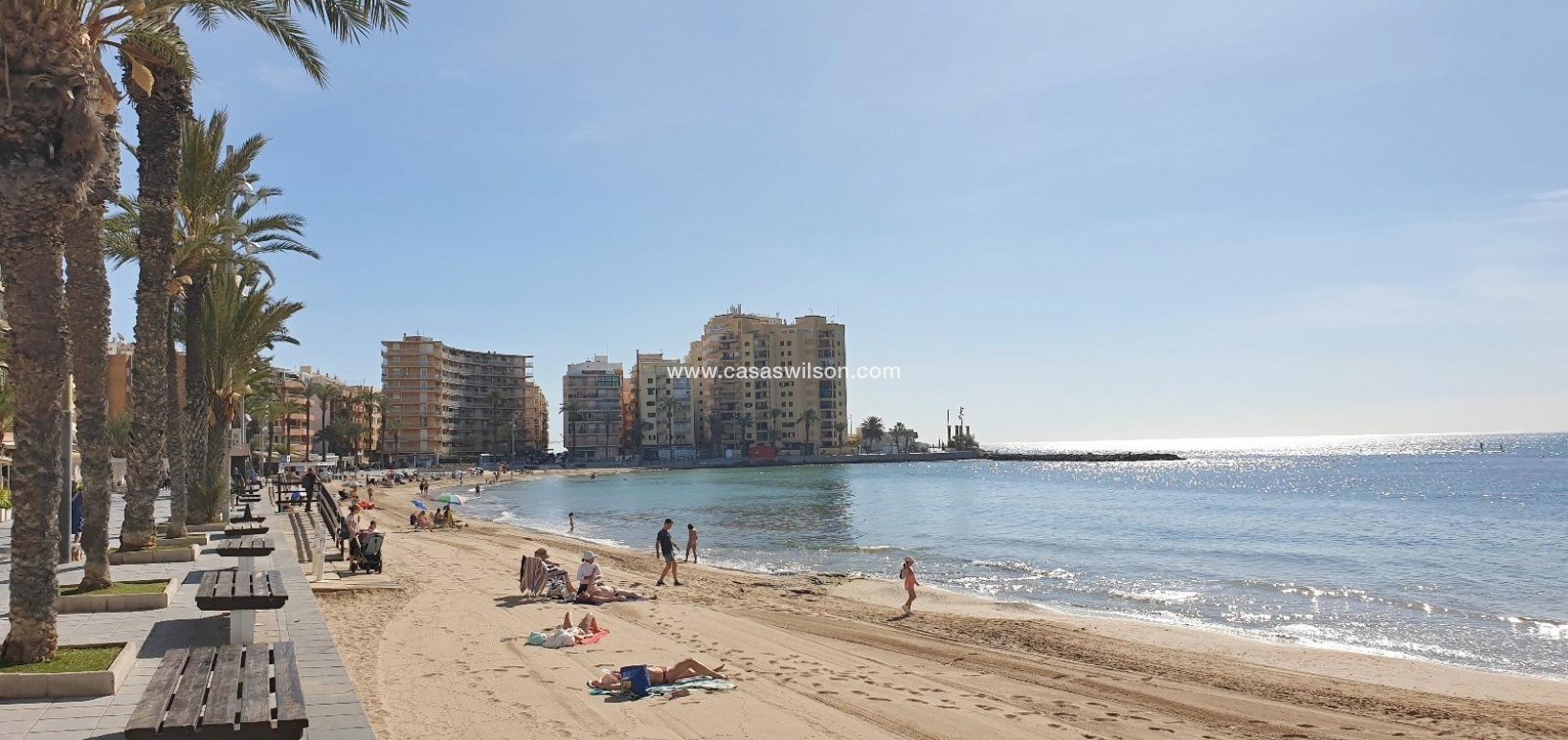Sale - Apartment - Torrevieja - Estacion De Autobuses