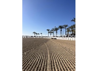 Sale - Apartment - Torrevieja - Estacion De Autobuses