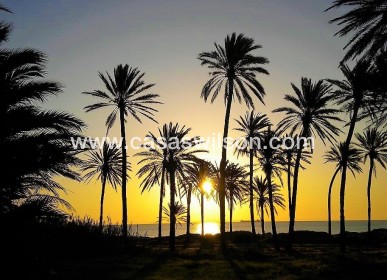 Sale - Apartment - Torrevieja - Centro