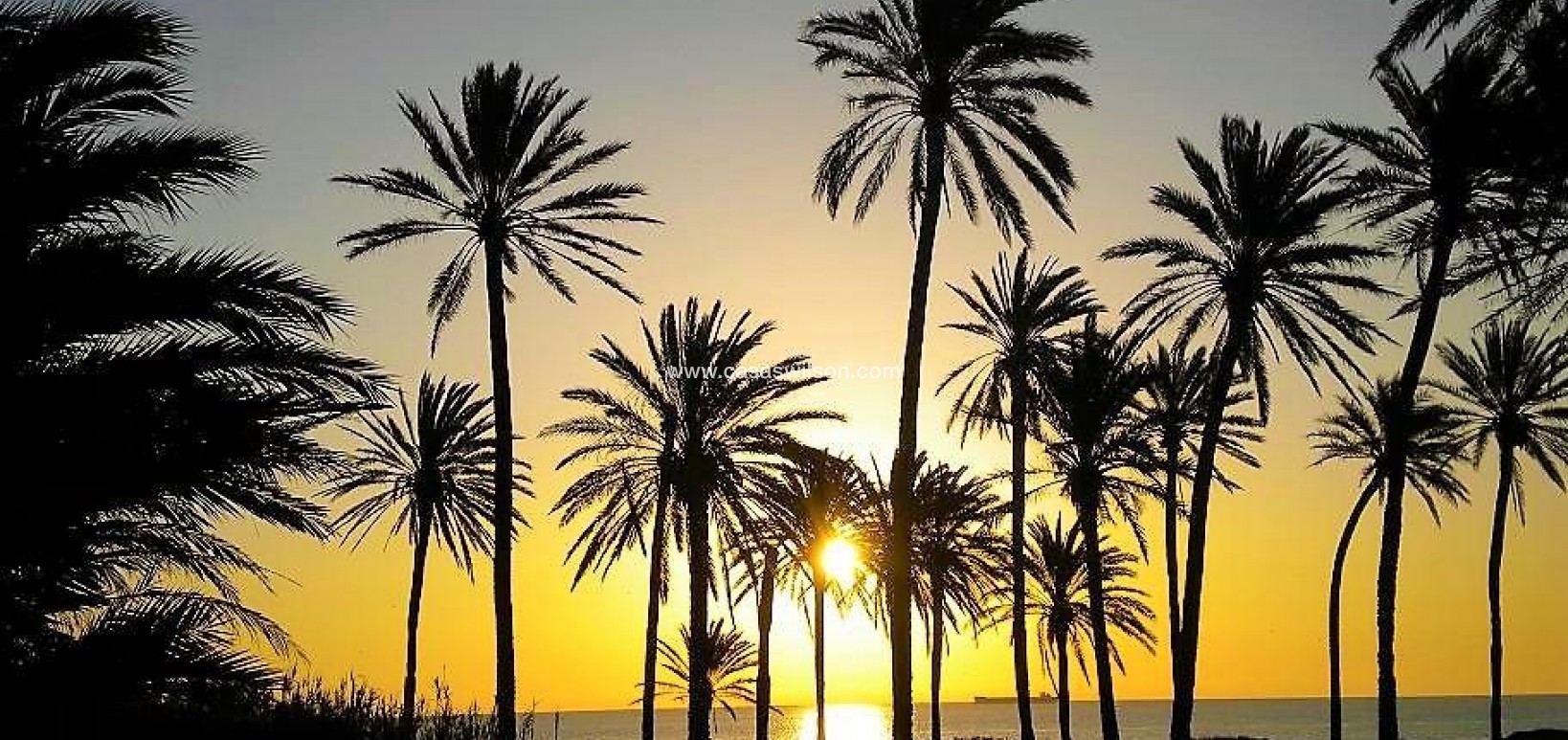 Sale - Apartment - Torrevieja - Centro