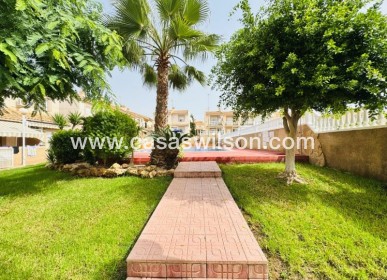 Sale - Apartment - Torrevieja - Costa Blanca