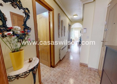 Sale - Apartment - Torrevieja - Estacion De Autobuses