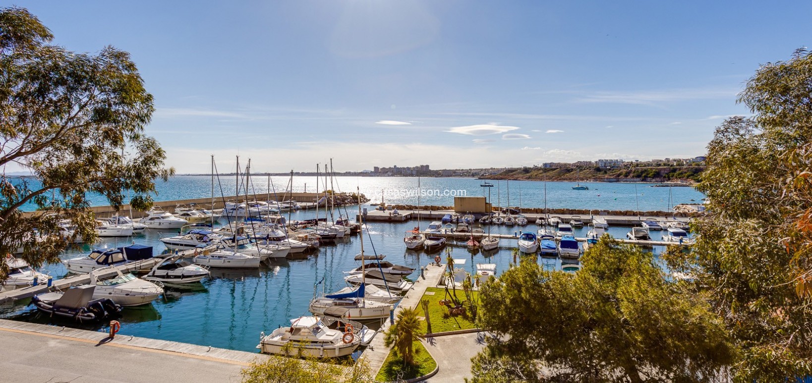 Sale - Apartment - Torrevieja - Costa Blanca