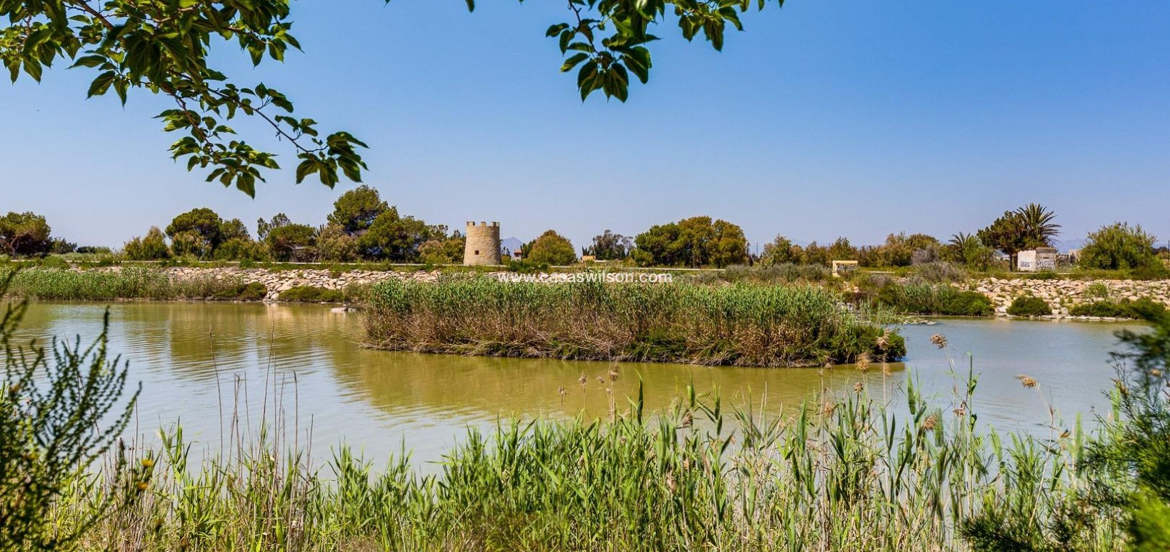 Sale - Villa - San Fulgencio - La Marina