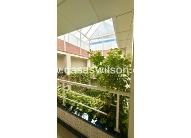 Sale - Appartement - Torrevieja - Centro