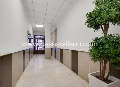 Sale - Apartment - Torrevieja - Estacion De Autobuses