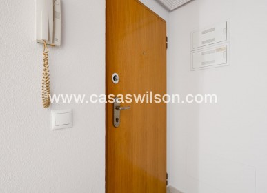 Sale - Apartment - Torrevieja - Estacion De Autobuses