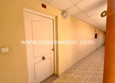 Sale - Apartment - San Miguel de Salinas - Inland