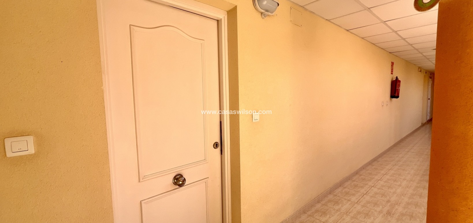 Sale - Apartment - San Miguel de Salinas - Inland