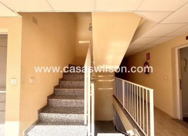 Sale - Apartment - San Miguel de Salinas - Inland