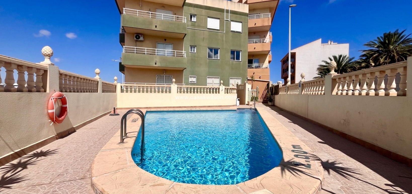Sale - Apartment - San Miguel de Salinas - Inland