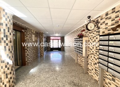 Sale - Apartment - San Miguel de Salinas - Inland