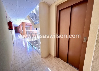 Sale - Apartment - San Miguel de Salinas - Inland