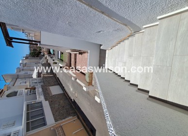 Sale - Apartment - San Miguel de Salinas - Inland