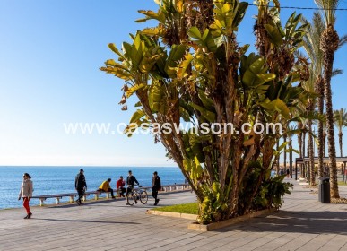 Sale - Apartment - Torrevieja - Costa Blanca