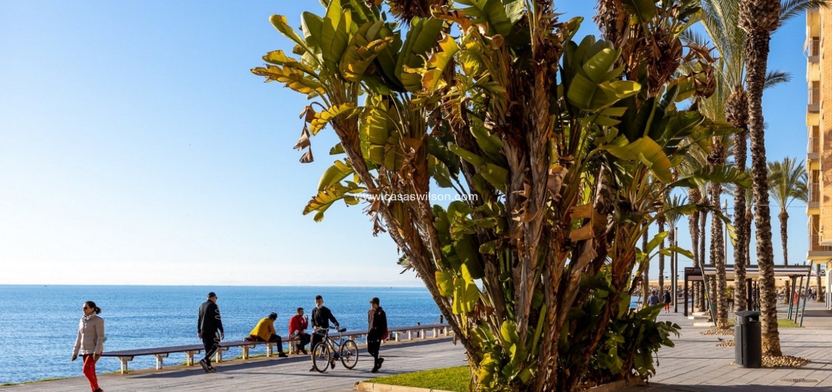 Sale - Apartment - Torrevieja - Costa Blanca