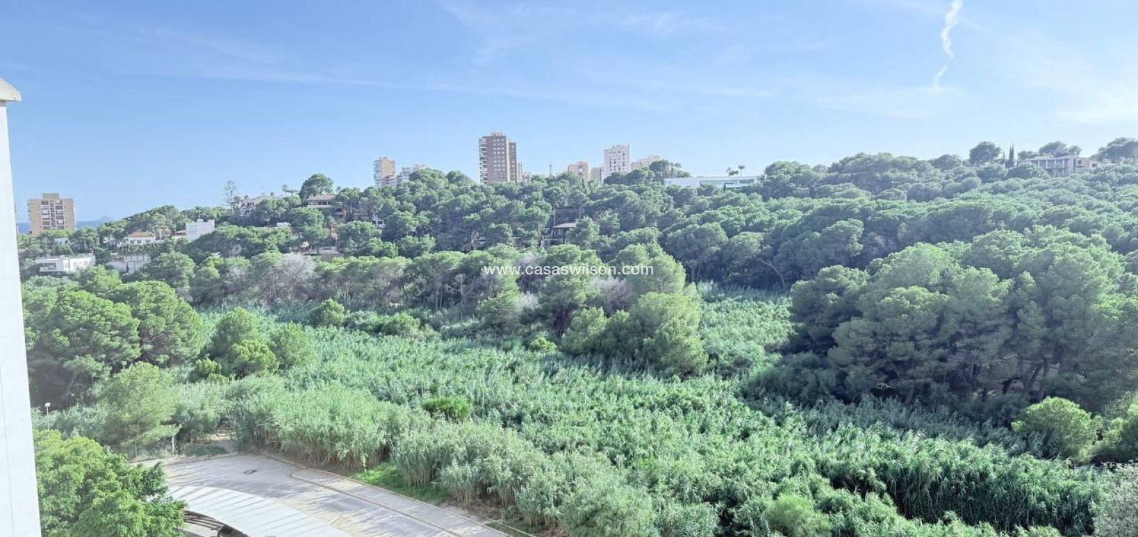 Sale - Apartment - Orihuela Costa - Campoamor