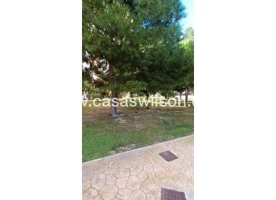 Sale - Apartment - Orihuela Costa - Campoamor