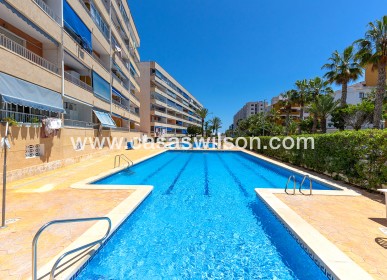 Sale - Appartement - Torrevieja - Costa Blanca