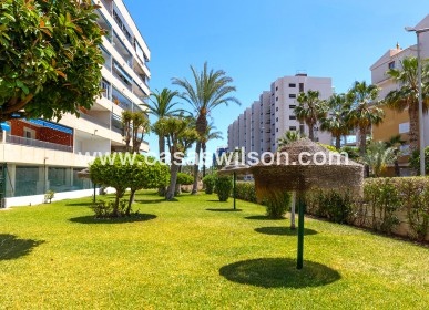 Sale - Appartement - Torrevieja - Costa Blanca