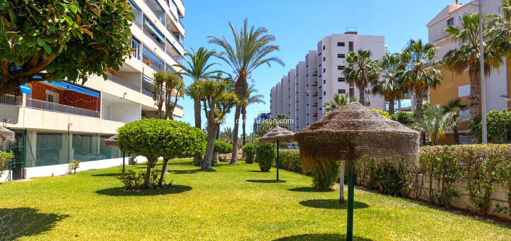 Sale - Appartement - Torrevieja - Costa Blanca