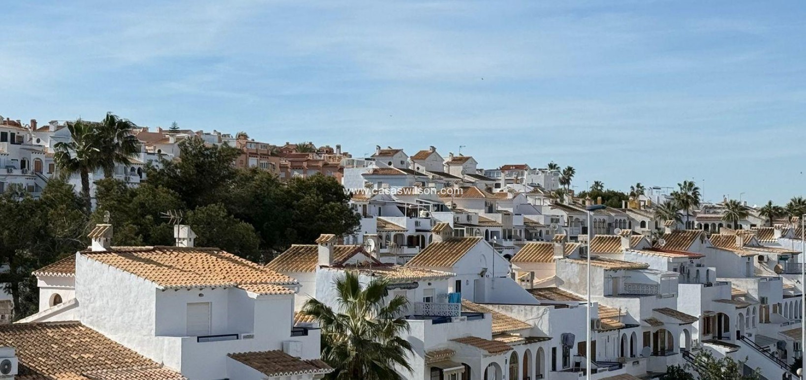 Sale - Bungalow - Torrevieja - Cañada Del Molino