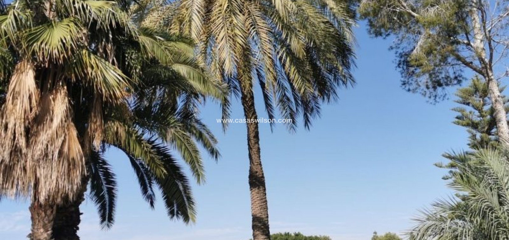 Sale - Apartment - Orihuela Costa - Costa Blanca