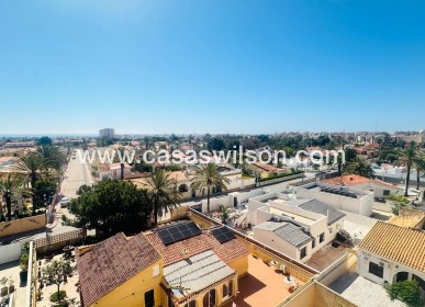 Sale - Apartment - Torrevieja - Nueva Torrevieja