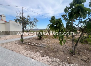 Sale - Villa - La Solana