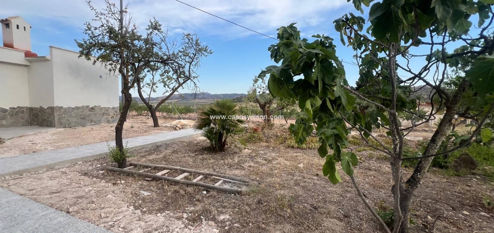 Sale - Villa - La Solana