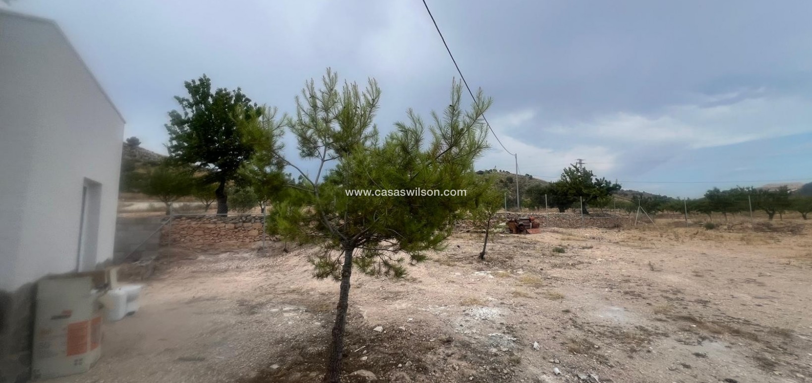 Sale - Villa - La Solana