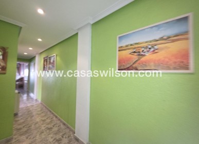 Sale - Apartment - Torrevieja - Acequion