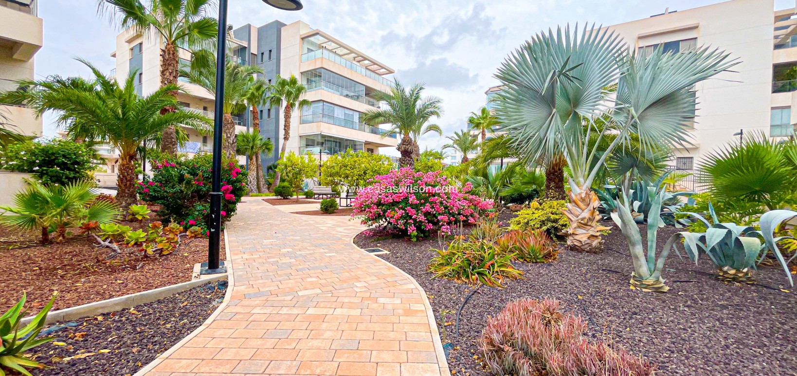 Sale - Apartment - Orihuela Costa - Costa Blanca