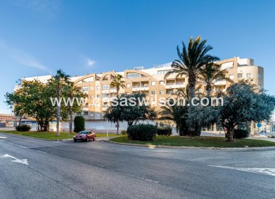 Sale - Apartment - Torrevieja - Costa Blanca