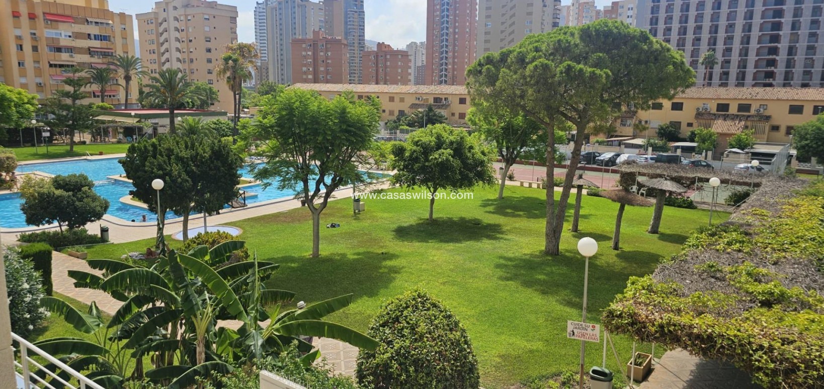 Sale - Apartment - Benidorm