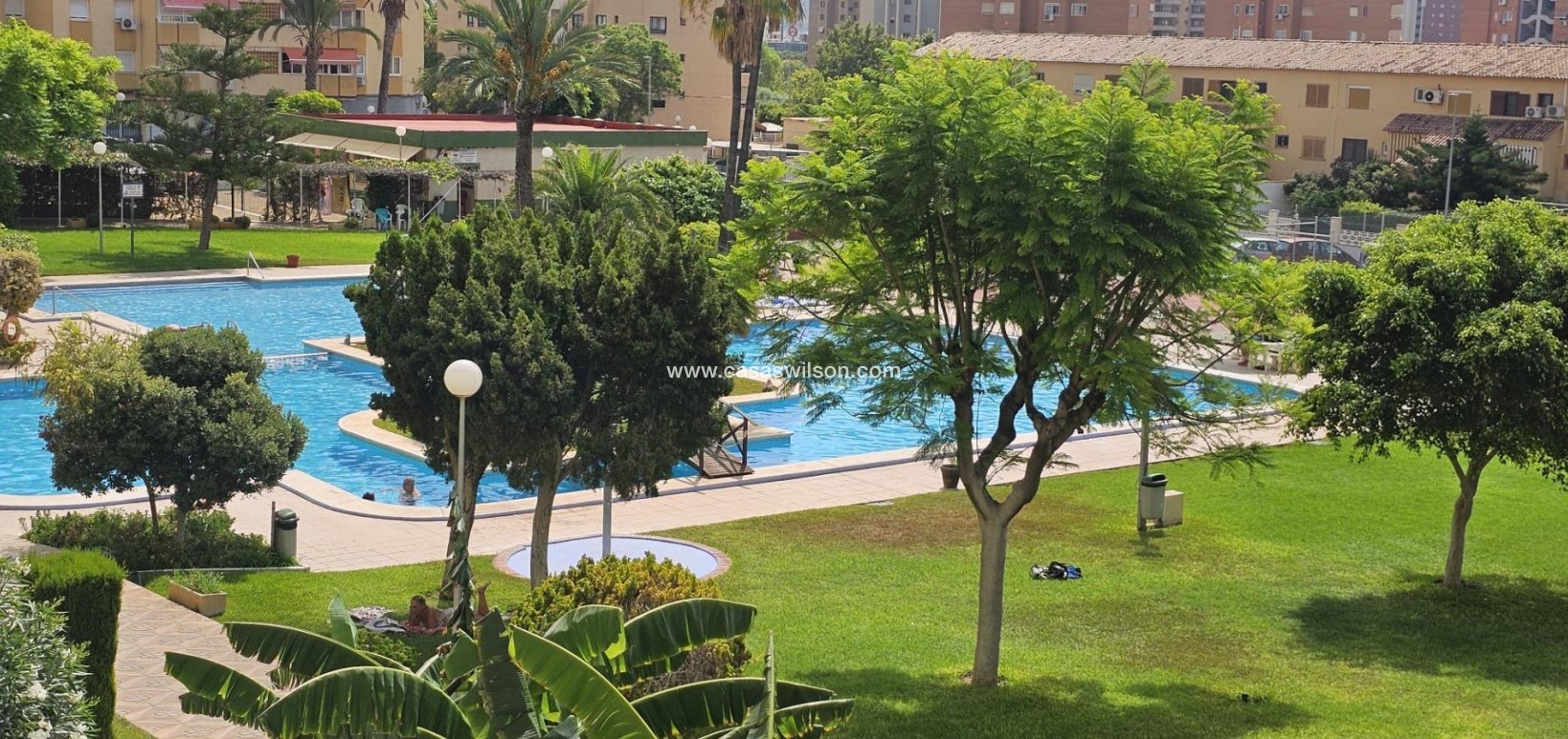Sale - Apartment - Benidorm