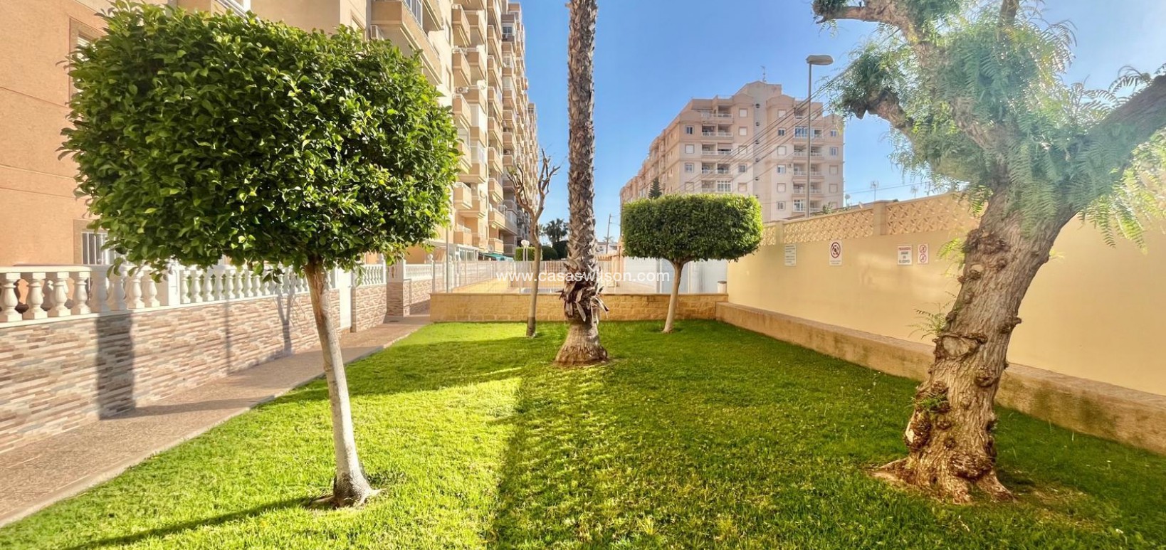 Venta - Apartamento - Torrevieja - Calas blanca