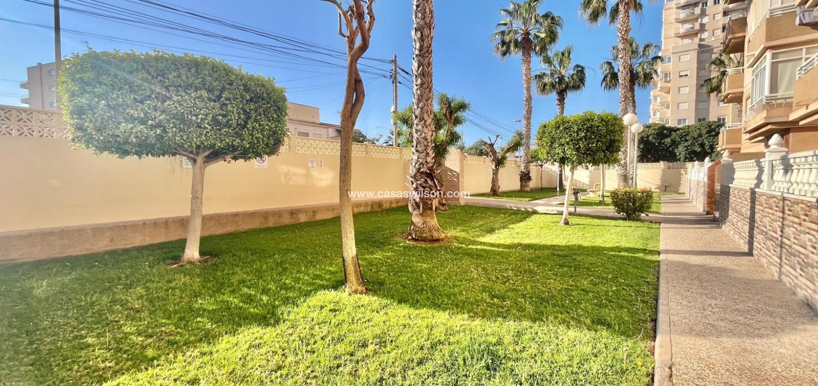 Venta - Apartamento - Torrevieja - Calas blanca