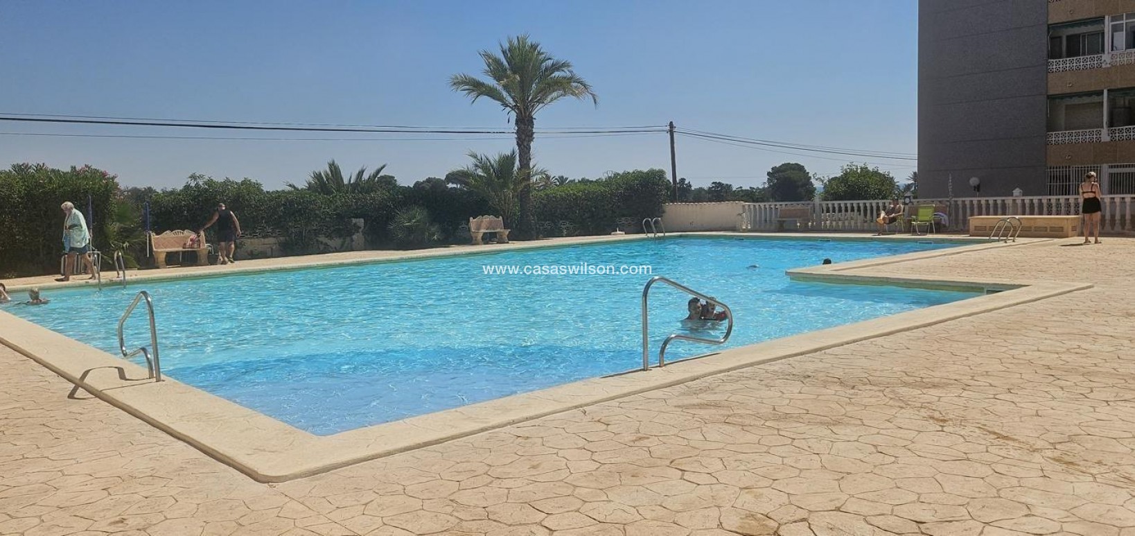 Sale - Appartement - Orihuela Costa - Punta Prima