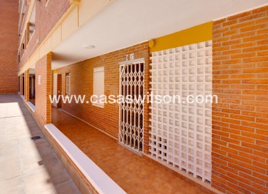 Sale - Apartment - Torrevieja - Playa de los Naufragos