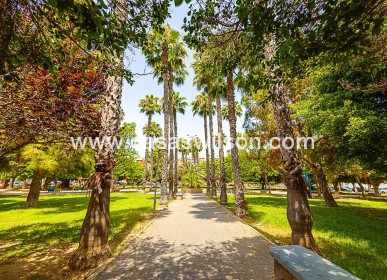 Sale - Apartment - Torrevieja - Playa de los Naufragos