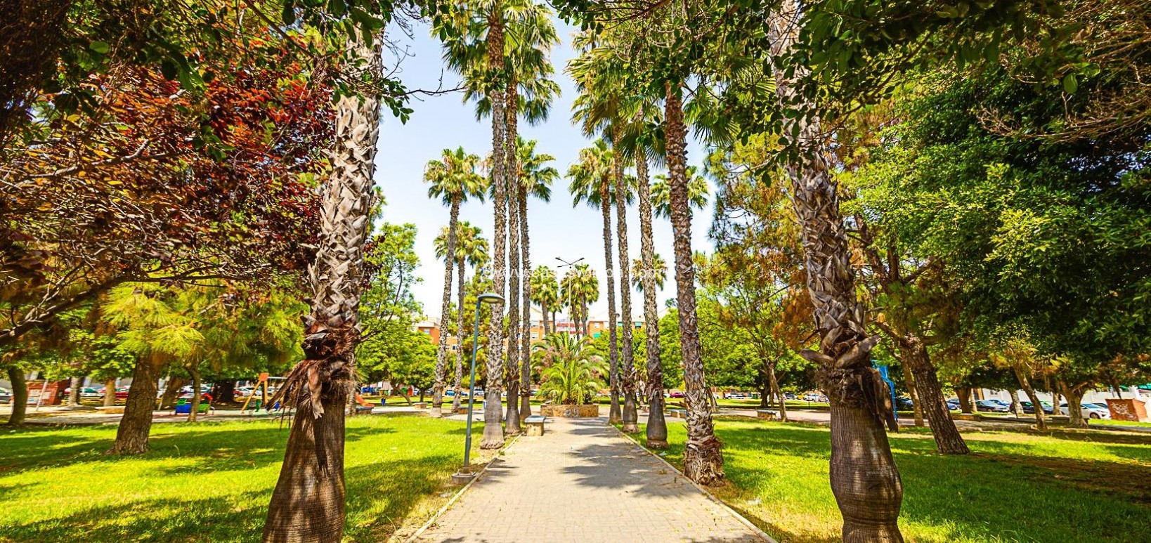 Sale - Apartment - Torrevieja - Playa de los Naufragos